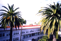 The new wing