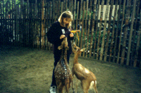 Julie feeding deer