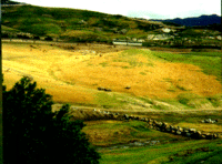 Plains