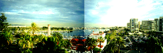 the-wide-view.gif