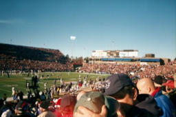 [picture-f-thumb.jpg]