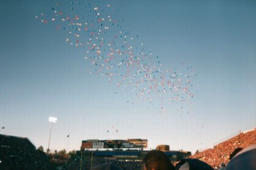 [picture-o-thumb.jpg]