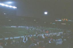 [picture-t-thumb.jpg]